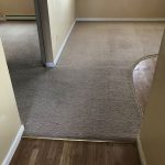 Cleaning Services for Carpets