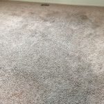 Carpet Cleaning in Colorado Springs