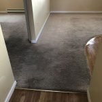 Cleaning Carpets in the Springs